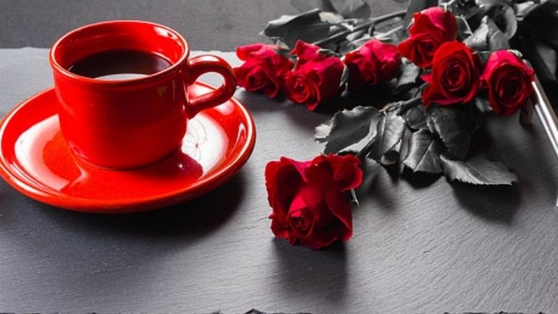 Cafe đỏ rực bên những đóa hồng đã héo úa