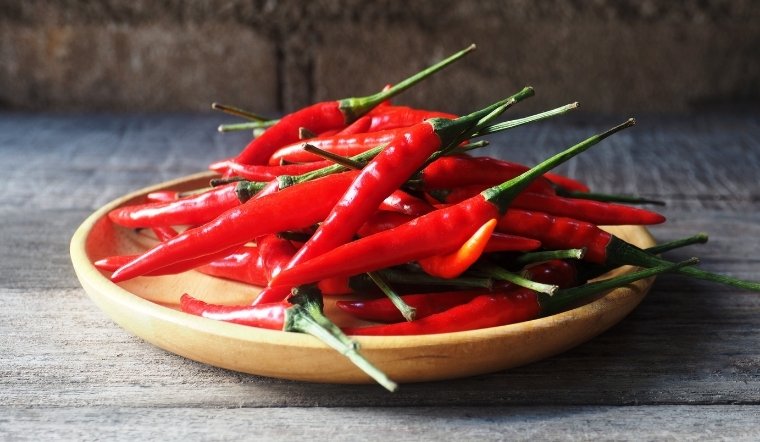 Giá ớt hôm nay 17/06/2025: Xu hướng tăng rõ rệt
