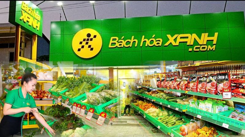 Mua bánh bông lan Nue ở đâu?