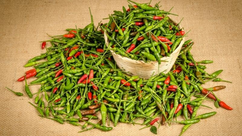 Tình hình thị trường và yếu tố ảnh hưởng Tình hình thị trường và yếu tố ảnh hưởng