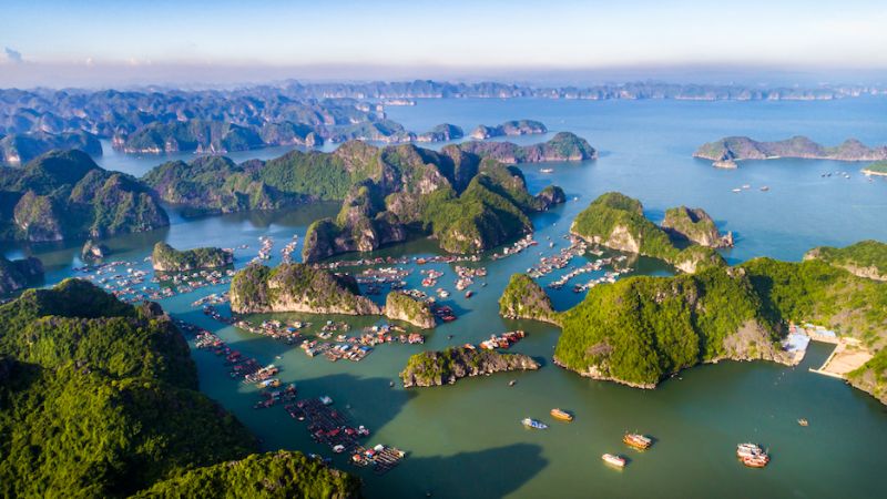 Tại sao nên chọn tàu cao tốc sang Cát Bà
