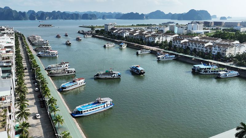 Tuyến Tuần Châu – Cát Bà