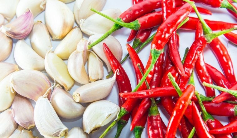 Giá ớt hôm nay 23/06/2025: Xu hướng giảm ở nhiều nơi