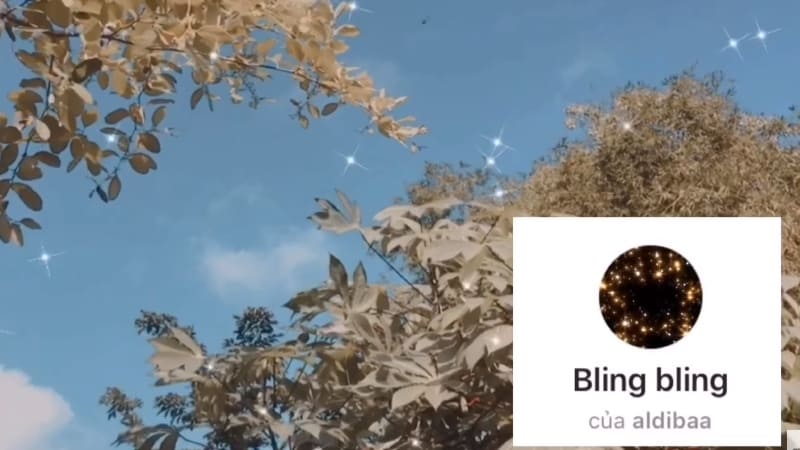 Filter Bloom nhẹ nhàng và bay bổng với hiệu ứng hoa rơi lãng mạn