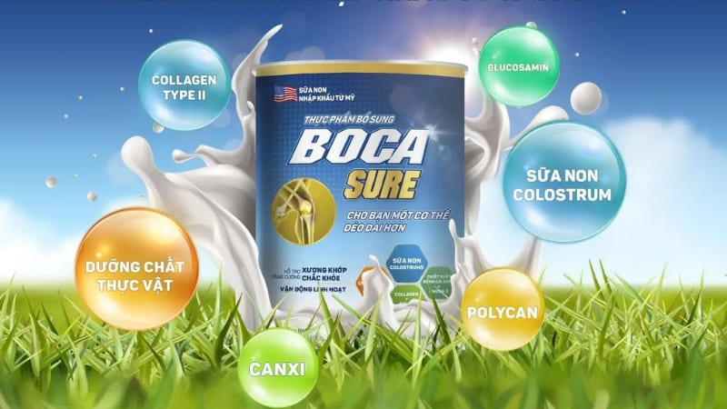 Sữa non Boca Sure hỗ trợ tái tạo sụn, cải thiện miễn dịch hiệu quả