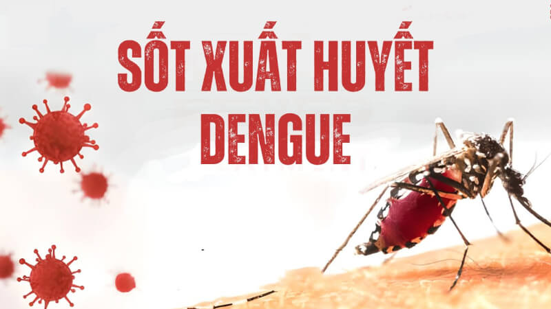Bệnh sốt xuất huyết là gì