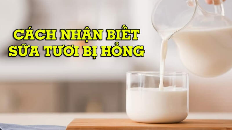 Cách nhận biết sữa Ensure bị hỏng