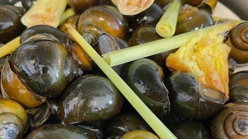 Gừng giúp khử mùi tanh và làm mềm thịt ốc hiệu quả