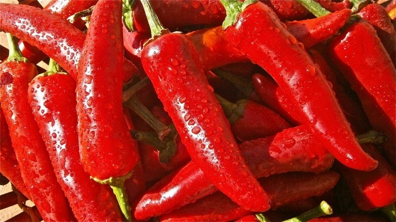 Dự báo và nhận định