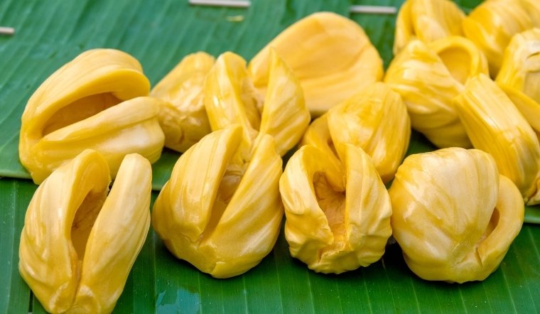 Giá mít Thái hôm nay 01/07/2025: Yên ắng đầu tháng