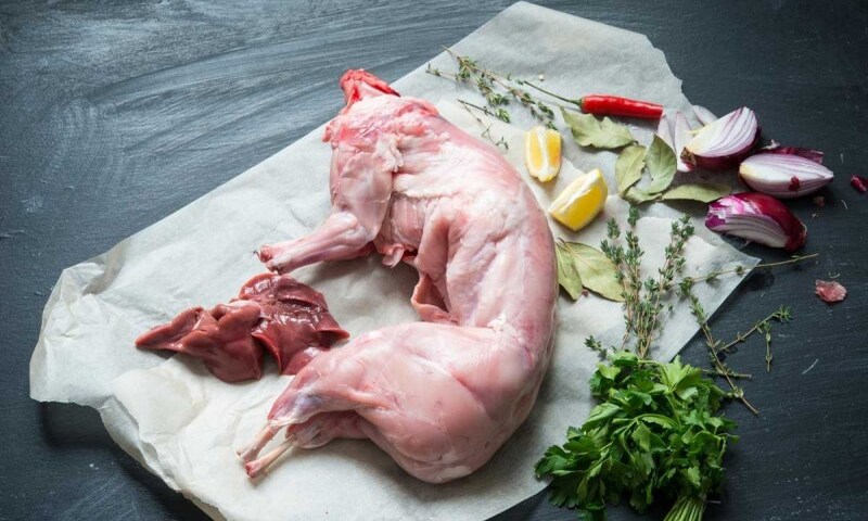 Thịt thỏ nấu cùng cháo trứng gà gây rối loạn tiêu hóa