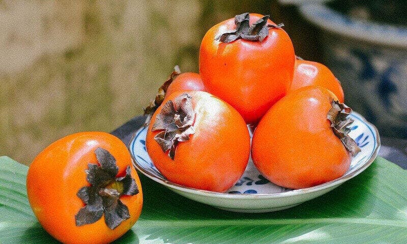 Quả hồng kết hợp cháo trứng gà có thể gây sỏi dạ dày
