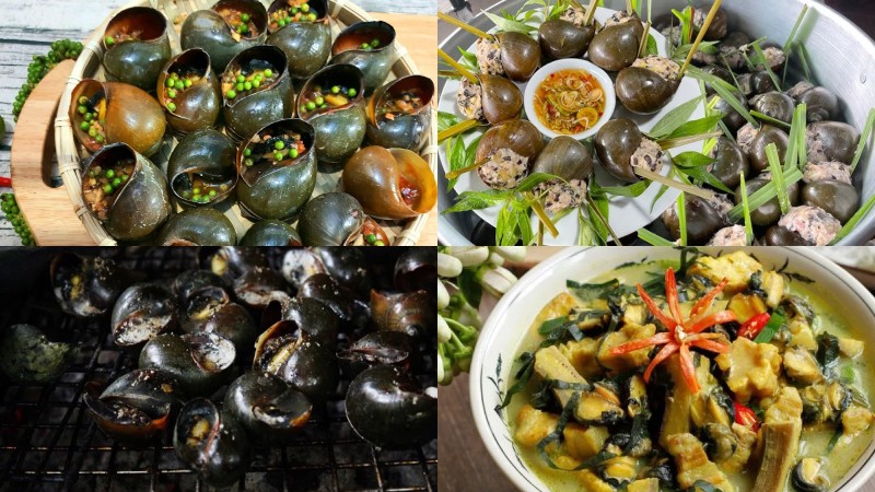 Hình minh họa các món ăn làm từ ốc bươu hấp dẫn và dinh dưỡng