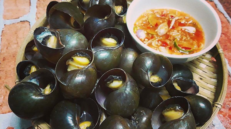 Gừng, sả, lá chanh, rau răm, ớt giúp trung hòa tính hàn của ốc, giảm nguy cơ lạnh bụng, tăng hương vị.