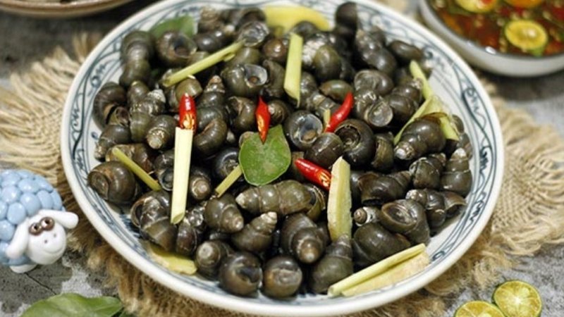 Thịt ốc làm vết thương hở có nguy cơ hình thành sẹo lồi