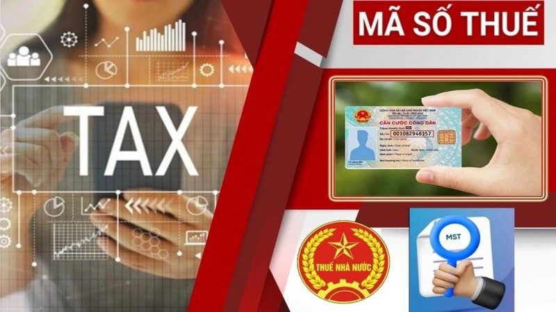 Tổng quan về việc cập nhật số định danh thành mã số thuế