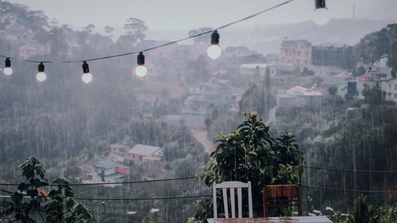 Mưa chiều Thất Tịch, nhìn xa như mong tin yêu