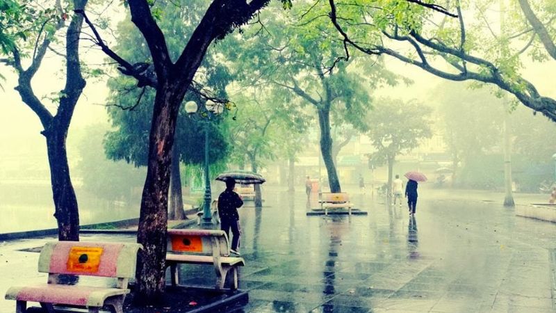 Công viên mưa ngâu, cô đơn như Ngưu Lang chờ đợi