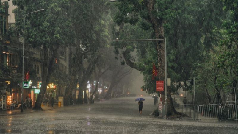 Phố vắng mưa rơi, chờ đợi như Ngưu Lang cô đơn