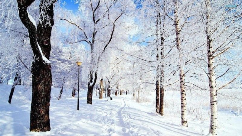 Giữ ấm cơ thể là việc quan trọng nhất trong tiết Đại Hàn để bảo vệ sức khỏe