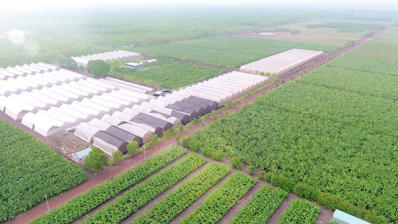 Vai trò của lập hạ trong nông nghiệp