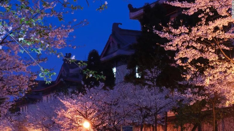 Những lưu ý quan trọng khi du lịch Nam Kinh