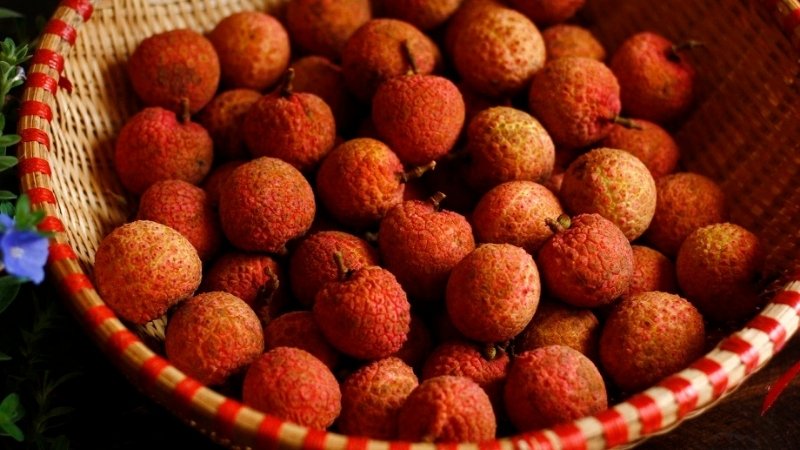 Các câu hỏi liên quan