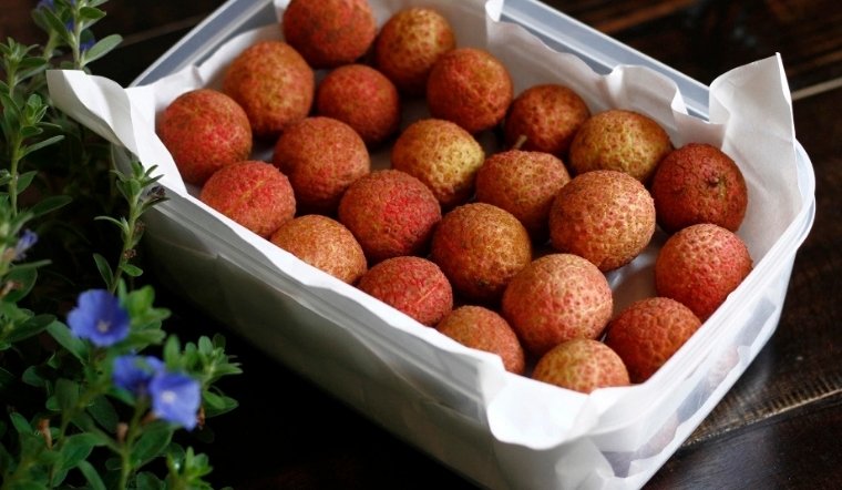 5 cách bảo quản trái vải trong tủ lạnh tươi lâu cả năm, mọng nước