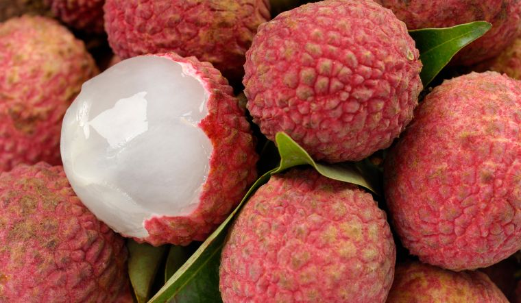 1 trái vải bao nhiêu calo? Ăn vải có béo (mập) không?