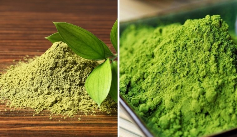 So sánh matcha Đài Loan và matcha Nhật Bản: Đâu là lựa chọn của bạn?