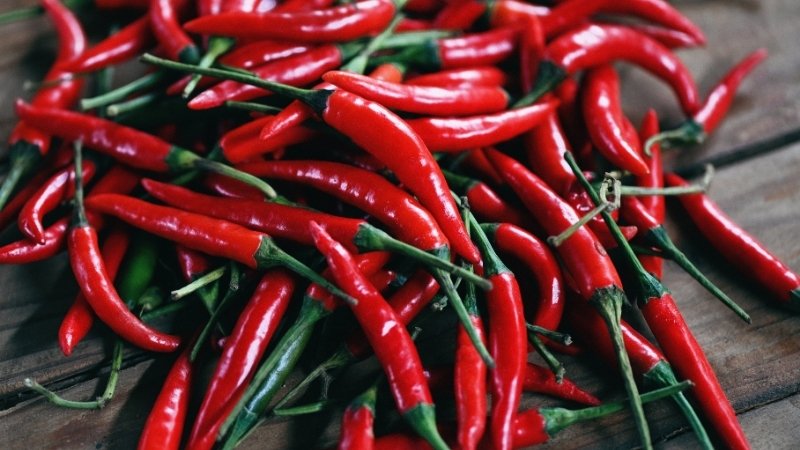 Dự báo và nhận định