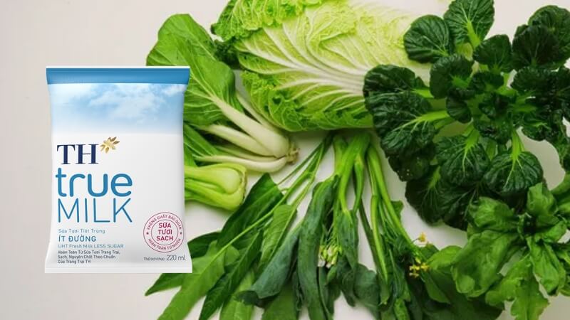 Có thể kết hợp sữa TH ít đường với thực phẩm khác để đảm bảo dinh dưỡng toàn diện