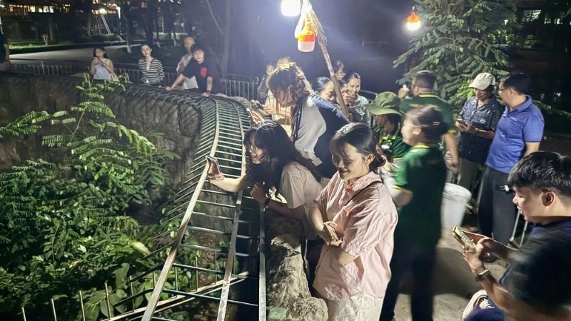 Câu hỏi thường gặp (FAQ)