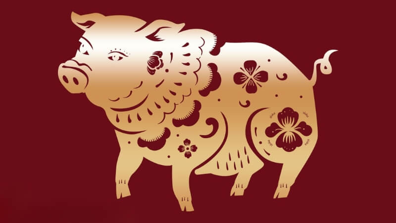 Tuổi Hợi