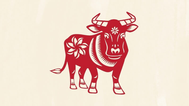 Tuổi Sửu