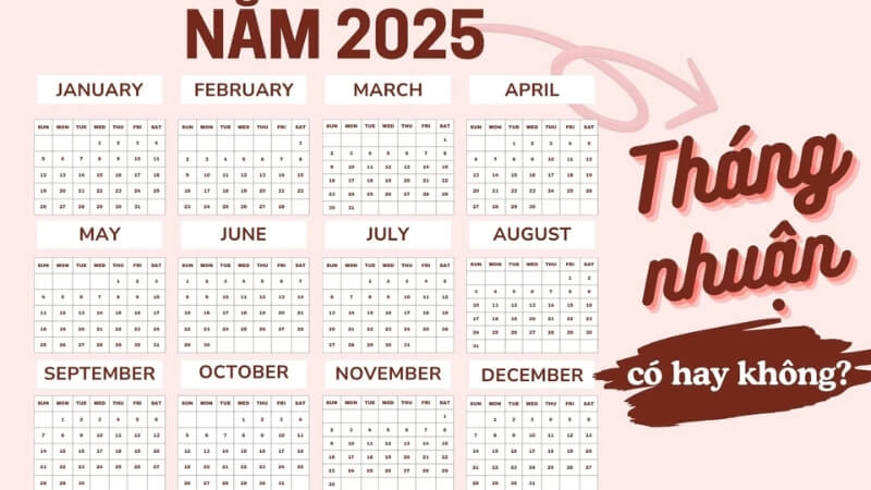 Tổng số ngày của năm âm lịch 2025 Tổng số ngày của năm âm lịch 2025