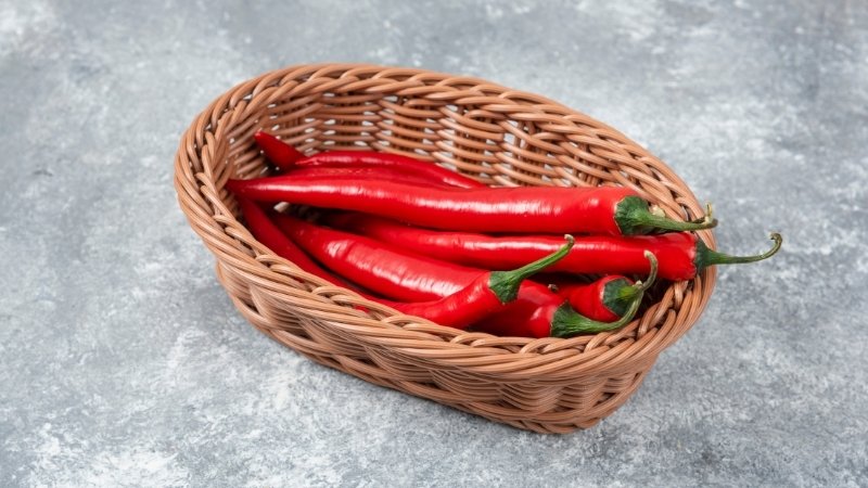 Dự báo và nhận định Dự báo và nhận định