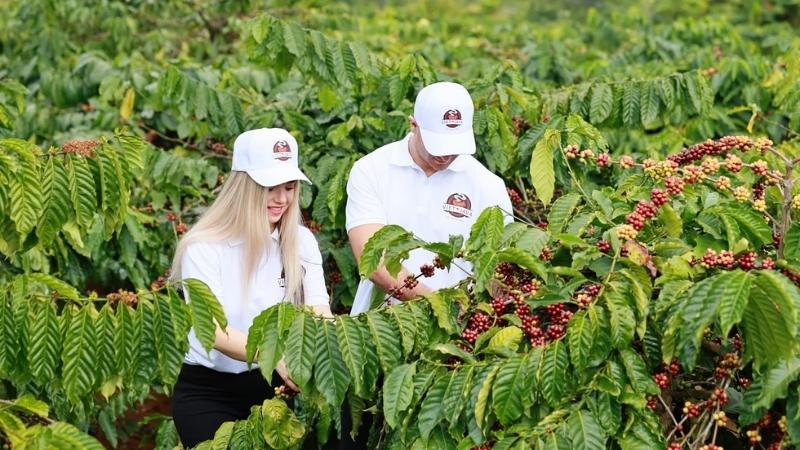 Hòa mình trong không gian cà phê Tây Nguyên Hòa mình trong không gian cà phê Tây Nguyên