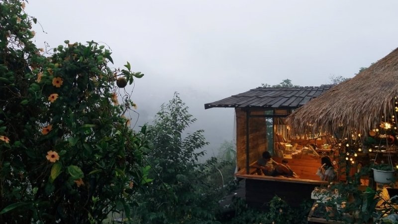 Cú Trên Cây Homestay