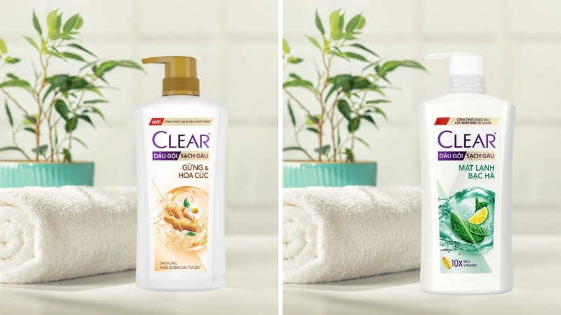 Nên chọn dầu gội Clear gừng & hoa cúc hay Clear bạc hà Nên chọn dầu gội Clear gừng & hoa cúc hay Clear bạc hà