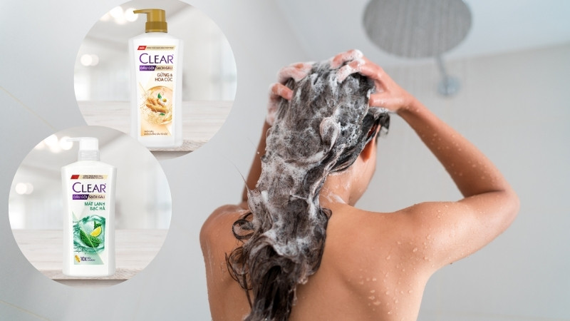 Nên chọn dầu gội Clear gừng & hoa cúc hay Clear bạc hà Nên chọn dầu gội Clear gừng & hoa cúc hay Clear bạc hà