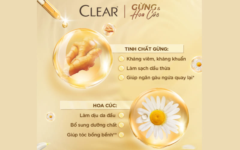 Thành phần và công dụng chính