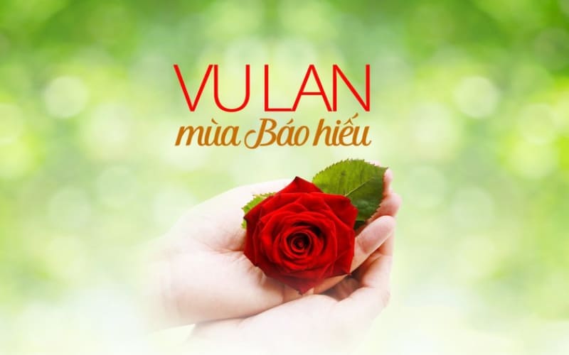 Lễ bông hồng cài áo