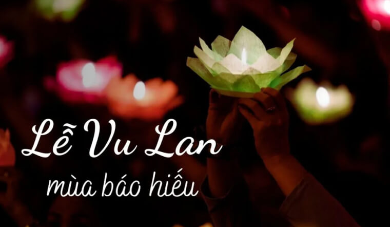 Tại sao lại có tục cài bông hồng trong ngày Vu Lan? Giải mã nguồn gốc và ý nghĩa
