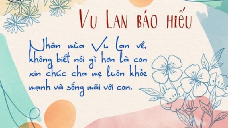 Mẫu 5