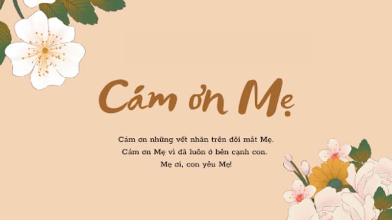 Mẫu 7