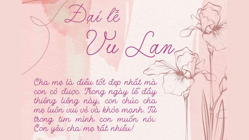 Mẫu 8