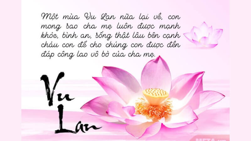 Mẫu 4