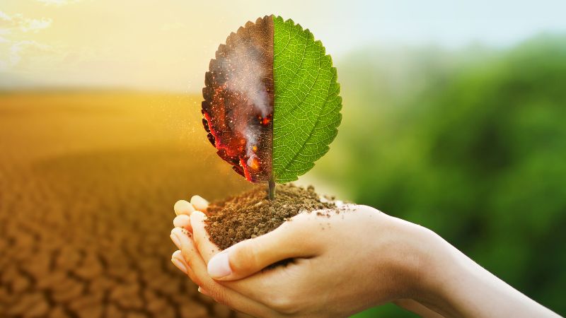 Việt Nam bị ảnh hưởng nặng nề bởi biến đổi khí hậu