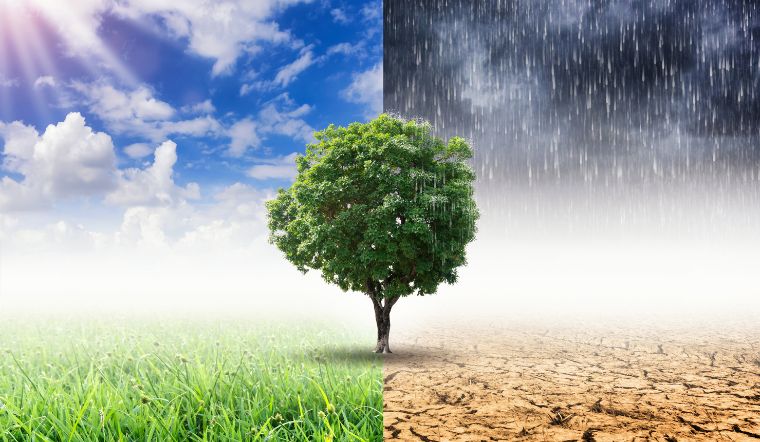 Biến đổi khí hậu là gì? Nguyên nhân, hậu quả và giải pháp 2025